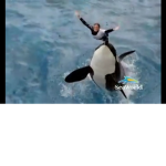 SeaWorld Parks And Entertainment Roblox
