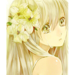 Aesthetics lilly
