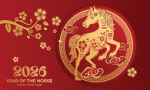 Phoenix-Horse-Studios