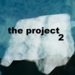 The Project 2