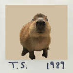 It’s me, hi