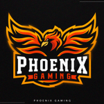 Phoenix Gamer Community