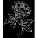 [TBR] The Black Rose