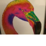 Rainbow Flock