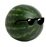 The super cool watermelons