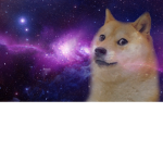 dasdasdsa