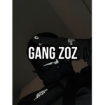 Gang des Bloods (V2)