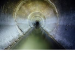 sewer gang.