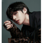 HI GUYS bts fan