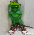 Insanos RZ