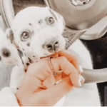 Adorbs!<3
