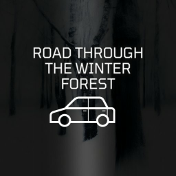 Road Through The Winter Forest