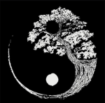 Kyokuryu-kai 沖縄連合旭琉会