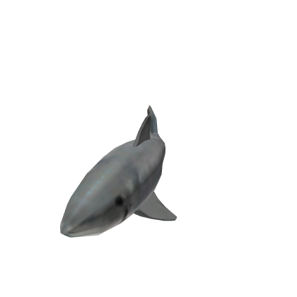 Shark