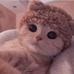 Hellooooooooooooooooooooooo kittyyyyyyyyyyyyyyyyyy