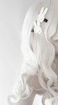 -Marcelina's Closet-