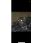 KEELXY