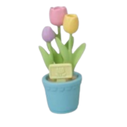 ˚ ༘💐
