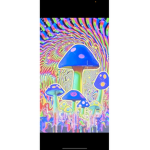Lilly and Rubys mushroom_squad