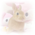 bunfluffu