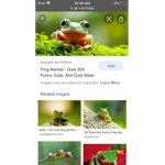 Thefroggygroup:)