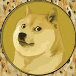패푸의 그룹