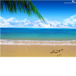 xxBeachBabyxx Party