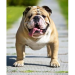 Something lives matter
