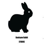Handsome Rabbit Studios