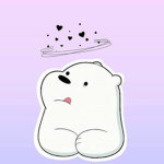 Bears squad small