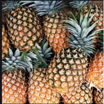 Pineapple life army
