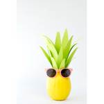 PINEAPPLEs FOR EVA