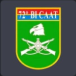 '"(BI CAAT)"'