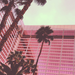 pink vibe