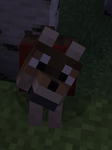 Ryanzerfiresword
