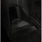 The basement (rp group)