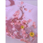 ~*Pink Blossom*~
