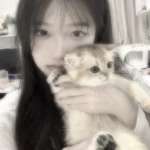 cat designer Group Thumbnail