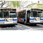 Stranton Island Bus Authority