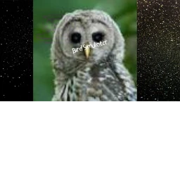 Bird Simulator icon