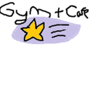 ~Shooting Stars Gymnastics~