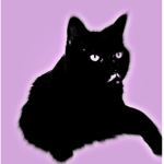 Thec00lcat321 Studio’s