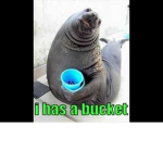 The Bucket Men/Woman