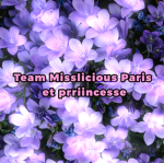 Team misliscious Paris et prriincesse