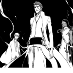 Aizen's Soul Society