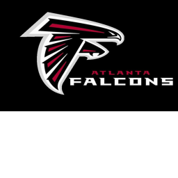 Atlanta Falcons Stadium