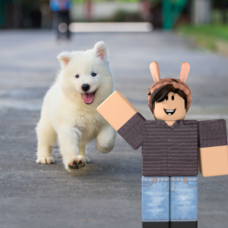 Comfy Dog's Clothing Company
