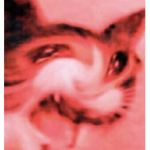 Shruc
