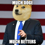 Doges Doges Doges