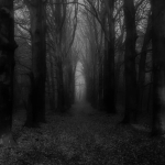 darkness of kill